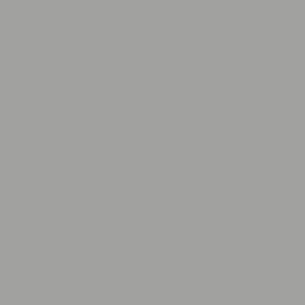 Aluminium blanc RAL 9006 (mat)