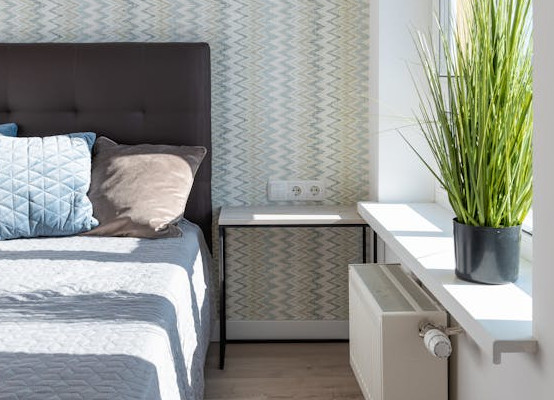 appui de fenêtre intérieur avec plante