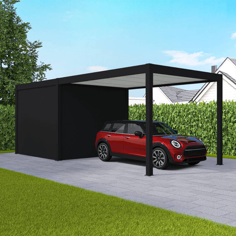 Carport avec abri de jardin noir foncé