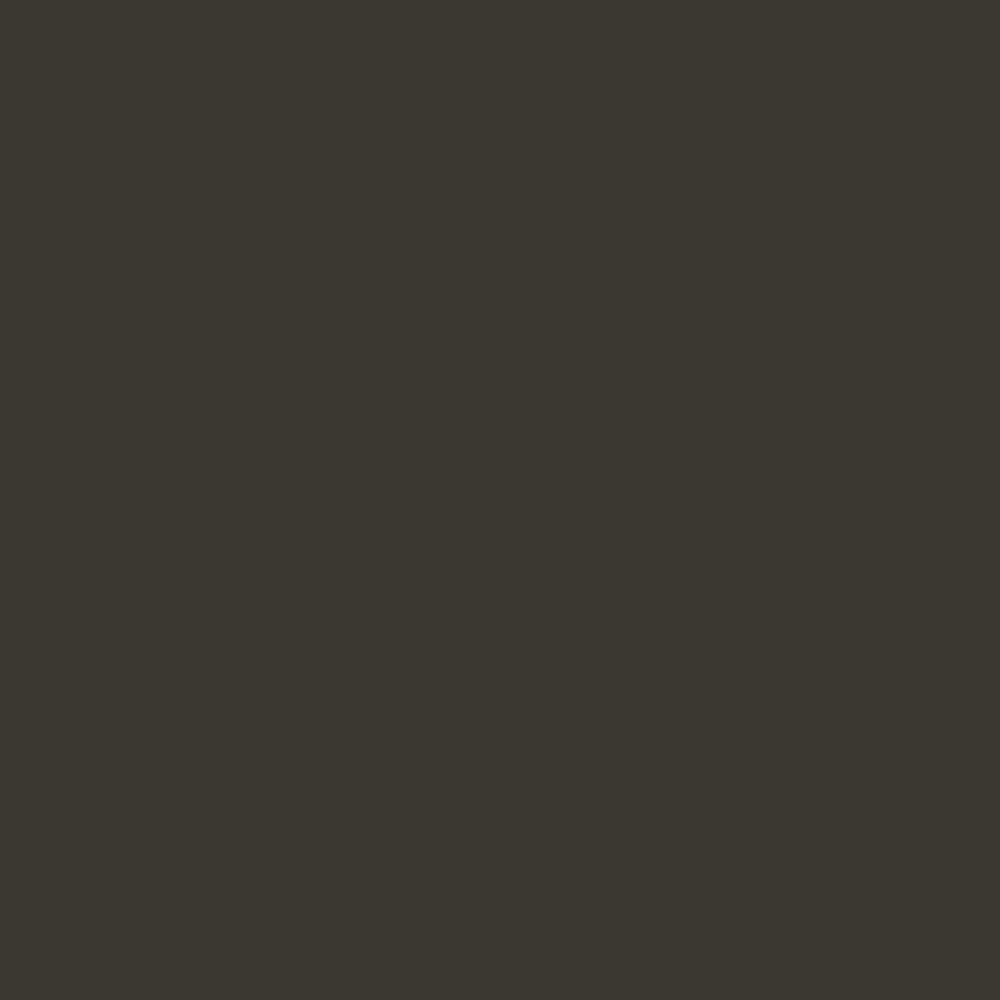 Olive gris similaire RAL 6006