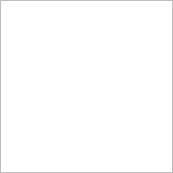 Blanc (RAL 9016)