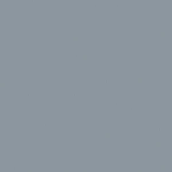 Gris argent (RAL 7001)