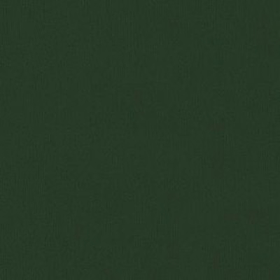 Vert foncé
