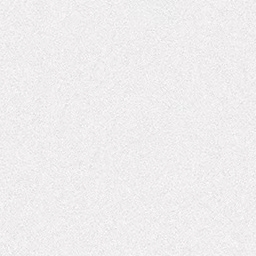 Blanc signalisation RAL 9016